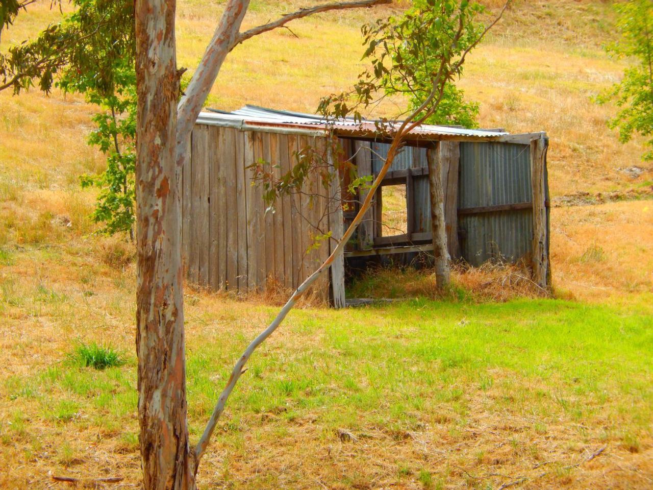 Bed and Breakfast Morialta Barns Norton Summit Esterno foto